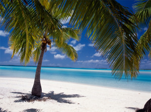 palme-mare-spiaggia-isole-cook