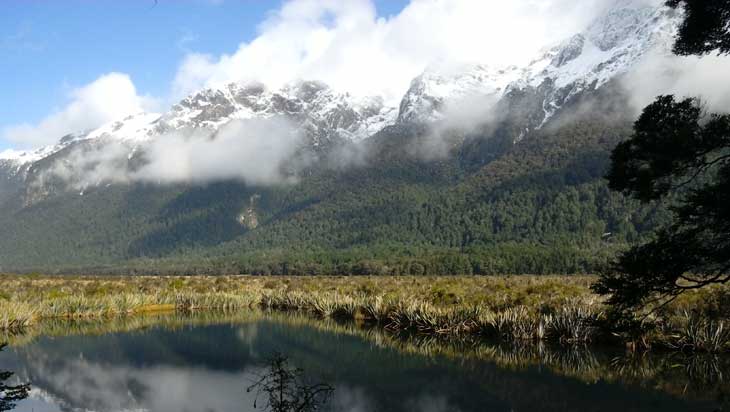 Fiordiland-National-Park-Nuova-Zelanda-701