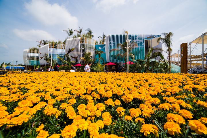 03-padiglione-colombia-expo