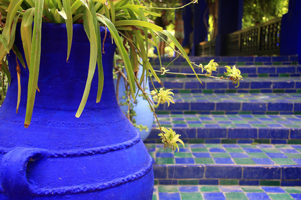 Un angolo dei Jardins Majorelle, con il celebre blu Majorelle. Foto di Elena Bianco