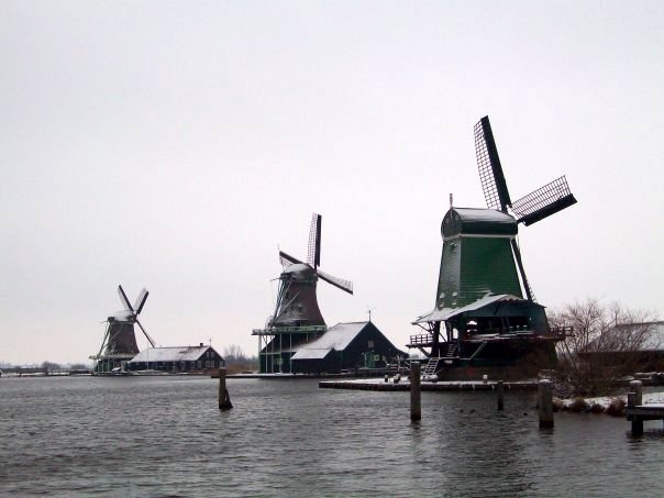 turismo-accessibile-amsterdam-Zaante