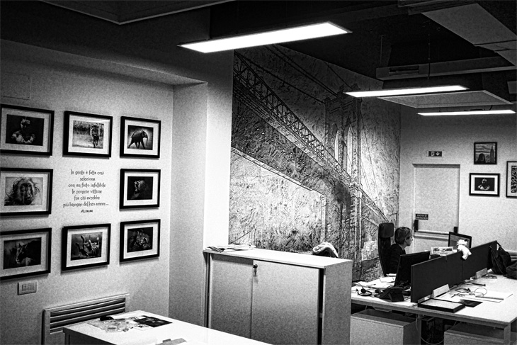 volonline-milano-700