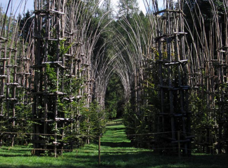 Arte-Sella-opere-Cattedrale-Vegetale-di-Giuliano-Mauri