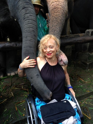 maesa-elephant-camp