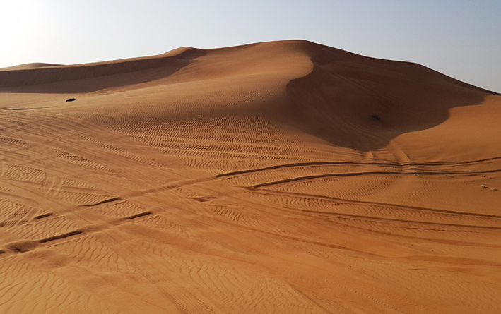 DESERTO ARABICO