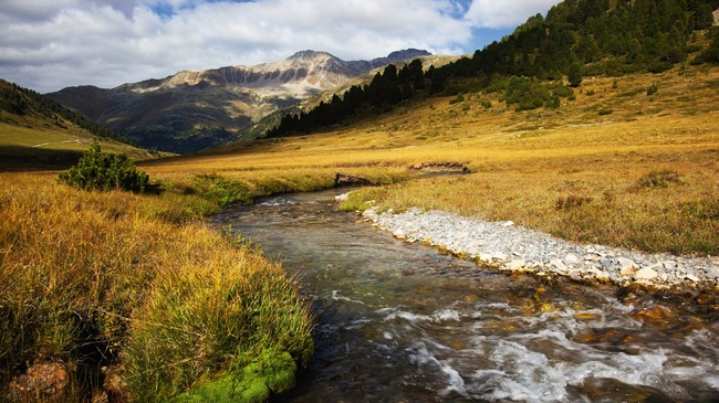 resized_650x365_origimage_606815