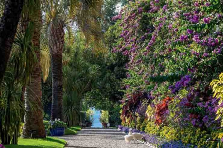 02. I Giardini delle Isole Borromee, Isola Madre, Viale delle Palme, foto di Dario Fusaro_a