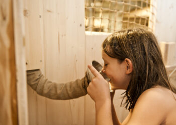 STIRIA CON STILE ALLE TERME DI LOIPERSDORF