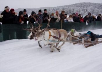 SVEZIA: MERCATO D’INVERNO DEI SAMI