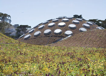 VISITARE SAN FRANCISCO, LA PRIMA DELLA CLASSE