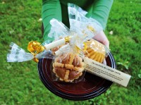 SULLE NOTE DI WAGNER