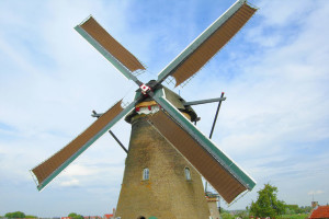 OLANDA IN BICI TRA PANE E TULIPANI