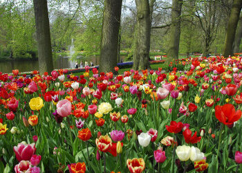 LA PRIMAVERA SECONDO GLI OLANDESI