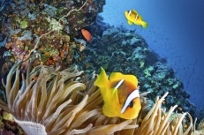 MARE, STORIA E DESERTO