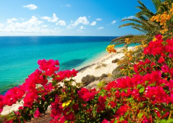 ESTATE 2013 A FUERTEVENTURA