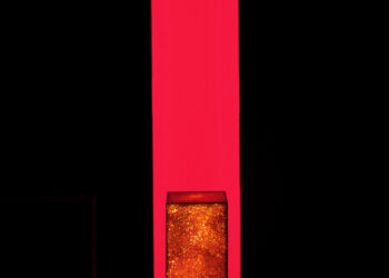 Interni designdel ristorante Oblix di Londra