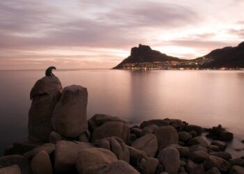 Speciale Turismo in Sudafrica