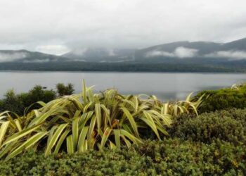 NONO GIORNO: DA DUNEDIN A TE ANAU