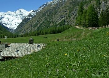 La Ferme du Grand Paradis tetto