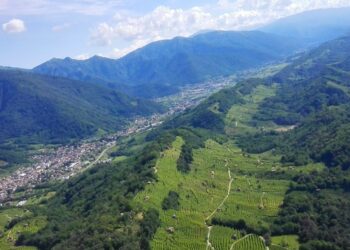 UNA GIORNATA A CONEGLIANO, FRA VIGNE E PROSECCO