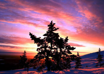 SI ACCENDONO E BRILLANO LE LUCI DI HELSINKI