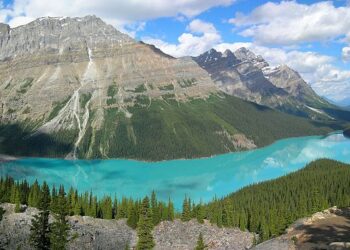 ESTATE IN CANADA CON AIR TRANSAT