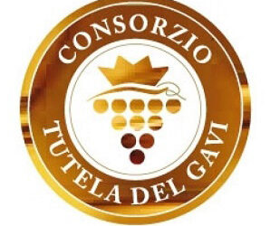 IL CONSORZIO TUTELA DEL GAVI A MILANO