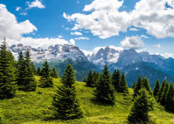 VACANZE IN TRENTINO: UNA META PET FRIENDLY