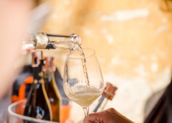 BICCHIERI PIENI E MENTI SGOMBRE