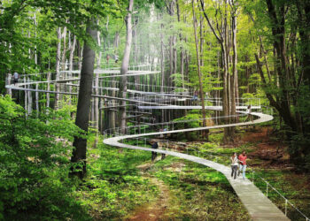 PARKORMAN: IL PRIMO PARCO AL MONDO SOSPESO SOPRA LA FORESTA