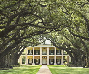 NEGLI STATES UN’ ESTATE ON THE ROAD