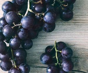 VINI DI SICILIA TRA STORIA E NATURA