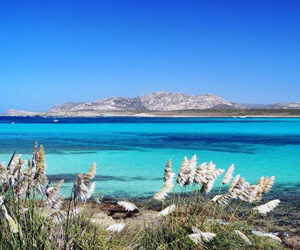 IN AGOSTO? SARDEGNA LOW COST CON GRIMALDI LINES