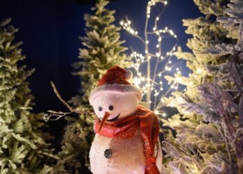 Flover, il magico Villaggio di Natale