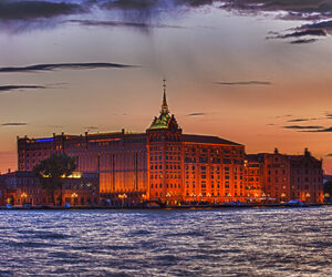 HILTON MOLINO STUCKY FESTIVE SEASON