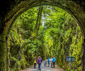 In Irlanda nel 2018: cosa fare e cosa vedere