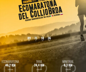 CAMMINANDO NEL COLLIO