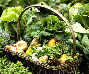 Il bicentenario del ristorante Cacciatori di Cartosio