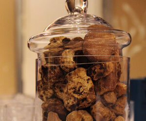 Tartufesta 2018, tra gastronomia, tradizioni e cultura