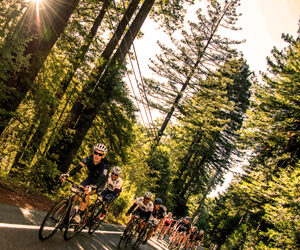 EVENTI IN BICICLETTA, ALLA SCOPERTA DELLA CALIFORNIA