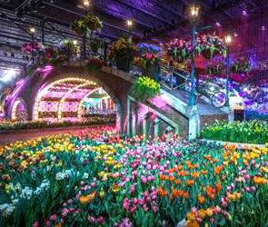 Philadelphia Flower Show, l’appuntamento più colorato e profumato al mondo