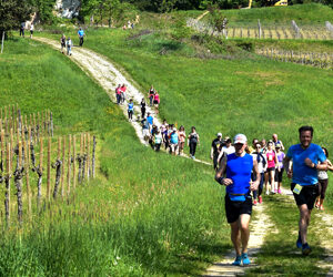 L’ecomaratona del Colliobrda, di corsa tra Italia e Slovenia
