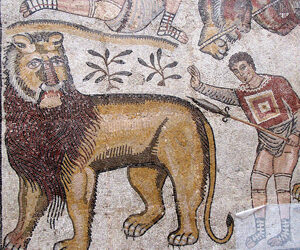 ALGERIA: VARIETÀ E CONTRASTI