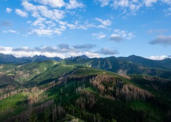 Vacanze estive in Polonia: un itinerario tra mare, montagna e natura