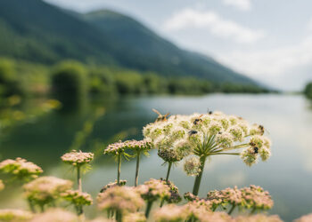 ESTATE NEL VALLESE. UN’AVVENTURA PER TUTTA LA FAMIGLIA NELLE ALPI SVIZZERE