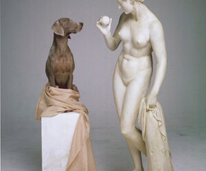 LUGANO, MASI: IN MOSTRA L’ARTE DEL FOTOGRAFO WILLIAM WEGMAN