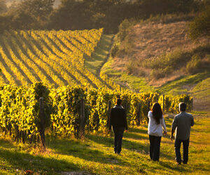 SI APRE UNA NUOVA ESPERIENZA SUL MONDO DELL’ENOTURISMO: DAL 7 AL 9 NOVEMBRE A VILLA QUARANTA A VERONA, SI TERRÀ LA PRIMA EDIZIONE DI DIVINO WINE HOSPITALITY & TRAVEL DEDICATO ALL’OSPITALITÀ E AL TURISMO DEL VINO.