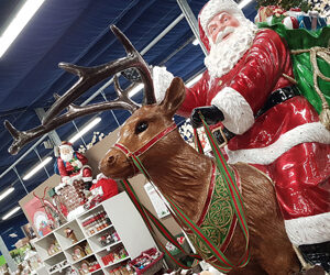 E’ partito ufficialmente il conto alla rovescia per la festa più amata dell’anno, in una magica atmosfera fatta di colori, luci e suoni.