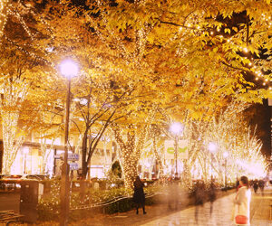 Tra installazioni luminose e nuovi indirizzi Tokyo accoglie il nuovo anno con speciali installazioni luminose in tutta la metropoli. Inoltre presenta tre nuove aperture per addolcire e riscaldare il freddo delle lunghe giornate invernali.