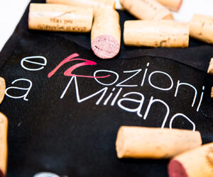 TORNA ENOZIONI, RASSEGNA ENOICA DEDICATA ALLE ECCELLENZE VINICOLE NAZIONALI E NON, ORGANIZZATA DALL’ASSOCIAZIONE ITALIANA SOMMELIER DELLA LOMBARDIA.